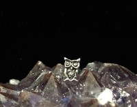 Owl Stud Earrings Sterling Silver