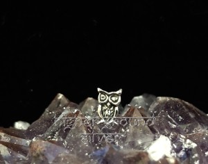 Owl Stud Earrings Sterling Silver