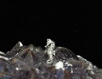 Seahorse Stud Earrings Sterling Silver