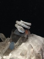 Snake Ring With Gem Encrusted Body