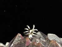 Spider Stud Earrings Sterling Silver