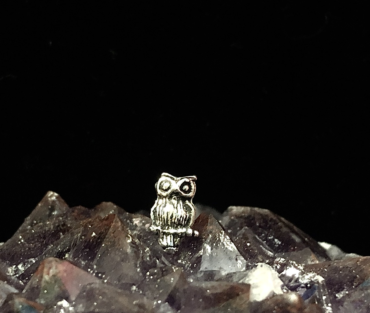 Owl on Branch Stud Earrings Sterling Silver - Click Image to Close